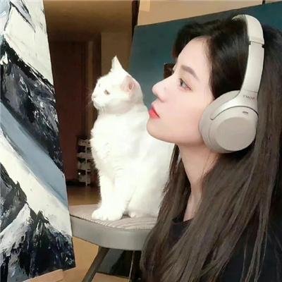 图书馆员：下一章第一季